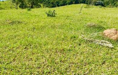 Imagem 10: 32R-Lote/Terreno para venda tem 500 metros quadrados em Jardim Brasil...