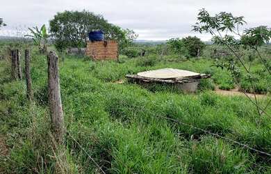 Imagem 7: Venda de Fazenda. Varanda, Guarda roupae870.000m² de Área