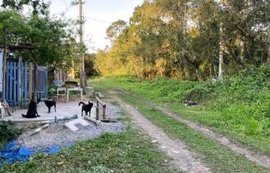 Imagem: O terreno e está localizado em Itanhaém, SP à venda por R$35.000