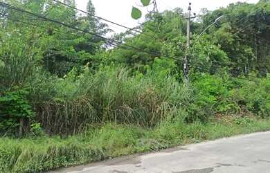 Imagem 2: Lote/Terreno para venda em Campo Grande possui 496 metros quadrados