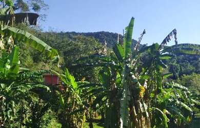 Imagem: O terreno possui 900m² de Área e está localizado em Paraty