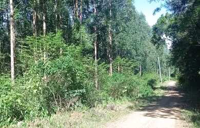 Imagem: A chácara possui 230.000m² de Área e está localizado em