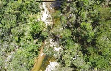 Imagem 15: Fazenda de compensação de Carbono ou reserva legal em Itacambira MG,...