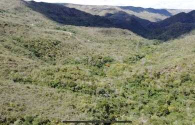 Imagem 11: Fazenda de compensação de Carbono ou reserva legal em Itacambira MG,...