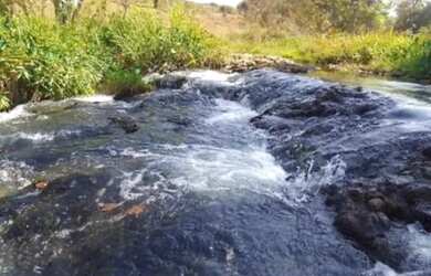 Imagem 4: Fazenda com cana próximo Uberlândia
