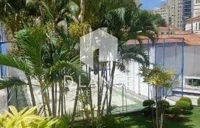 Imagem 4: Apartamento para locação no bairro Cambuí em Campinas