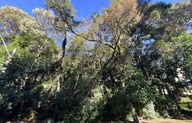 Imagem 7: Terreno - Bairro Reserva da Serra