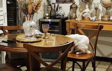 Imagem: O quarto e está localizado em Encruzilhada, Recife para alugar