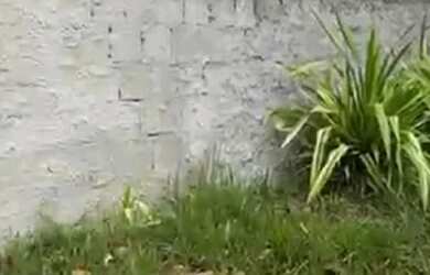 Imagem 5: Vendo ou troco por imóvel