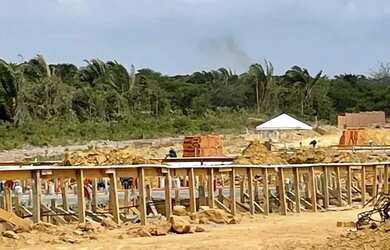 Imagem 5: VA- Arvores III - LEIA O ANUNCIO POR FAVOR