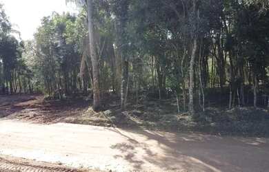 Imagem 4: Terreno 3.364m² no Felpudo, com linda vista para São Luiz do Purunã