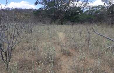 Imagem: A fazenda possui 40.000m² de Área e está localizado em Curaçá