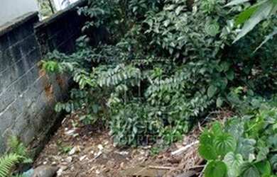 Imagem 15: Terreno à venda, 400 m² por R$ 450.000 - Jardim Santo Alberto - Santo...