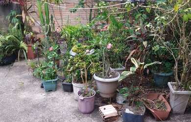 Imagem: A casa possui 4 Dormitórios, 4 Banheiros, 2 Vagas na garagem