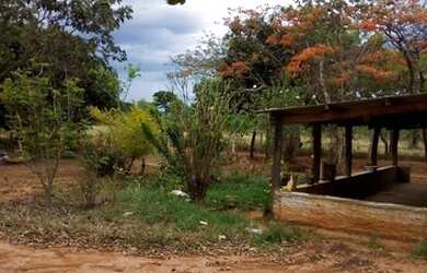 Imagem 7: Vende-se chácara no municipio de Arinos