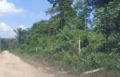 Imagem 2: Vende se este lote de terra