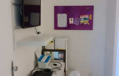 Imagem 5: Flor de lis no Inácio Barbosa