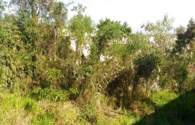 Imagem 7: Terreno à venda 300M², Jardim Maristela, Atibaia - SP