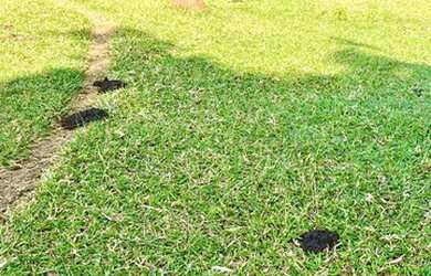 Imagem 1: 32R-Lote/Terreno para venda tem 500 metros quadrados em Jardim Brasil,...