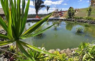 Imagem 5: Lote/Terreno para venda com 603 metros quadrados em Zona Rural - Bananeiras...