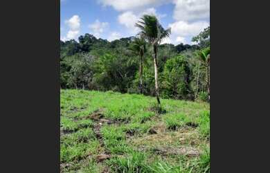 Imagem: A fazenda possui 78m² de Área e está localizado em Nazaré