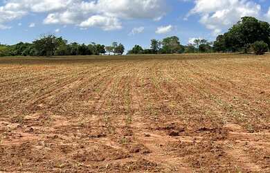Imagem 2: Chácara 9 Alqueires São Luís de montes belos