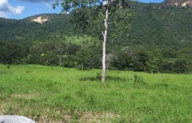 Imagem: A fazenda à venda possui 250m² de Área e está localizado