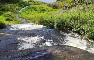 Imagem 5: Lote/Terreno para venda com 600 metros quadrados em Jardim Santa Maria...