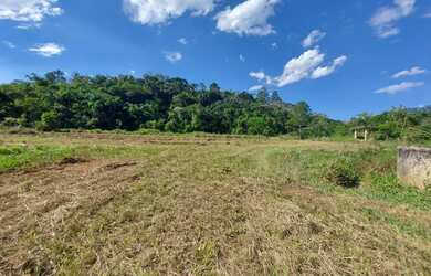Imagem 3: Lote/Terreno para venda com 600 metros quadrados em Jardim Paineiras -...