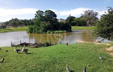 Imagem 5: Terreno em Hípica. 187m² de Área