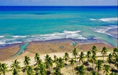 Imagem 1: Lote/Terreno para venda com 600 metros quadrados em Praia do Forte - Mata...