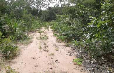 Imagem 2: Tenho um Ótimo Terreno de 18500 mts.no Lago do Peixe TO