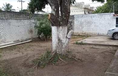 Imagem 9: For Rent. 450m² de Área, 5 Vagas na garageme2 Dormitórios