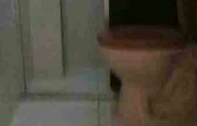 Imagem: O apartamento possui 2 Dormitórios, 1 Banheiro e está localizado