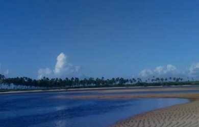 Imagem: A casa possui 4 Dormitórios, 5 Banheiros, 5 Vagas na garagem