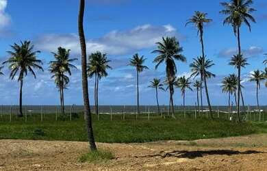 Imagem 3: Damha Residence Frente Mar