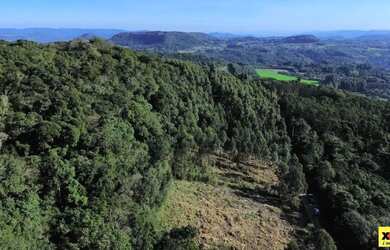 Imagem: A fazenda possui 31.311m² de Área e está localizado em Nova