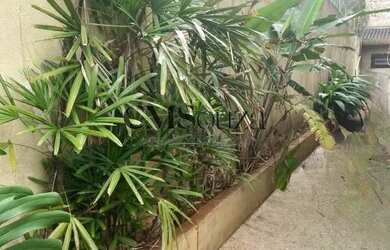 Imagem 4: Casa para alugar no Quebec 5 suítes, 560m², 0 vagas informadas Londrina/PR