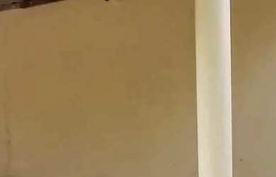 Imagem 12: Pequena chácara para venda próximo a São Lourenço MG