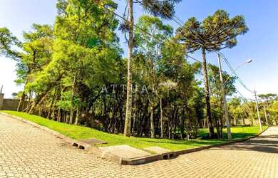 Imagem 10: TERRENO COM PARCELAMENTO DIRETO EM ATÉ 60X