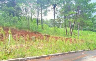 Imagem 7: Terreno - Bairro Dutra. 450m² de Área