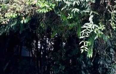 Imagem: O terreno possui 503m² de Área e está localizado em Santo