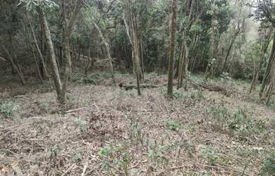 Imagem 7: Lote/Terreno para venda possui 484 metros quadrados em Riviera Paulista...