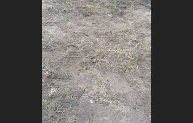 Imagem 2: Terreno. 600m² de Área