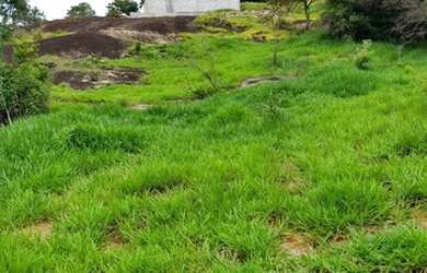 Imagem 7: Atibaia - Terreno Padrão - Jardim Paulista