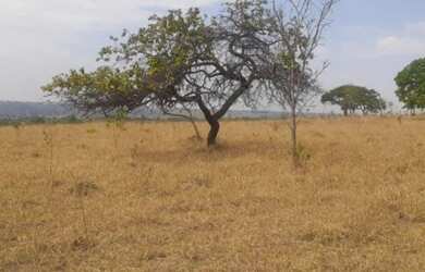 Imagem 9: Lote de 5 mil metros. Imóvel novoe5.000m² de Área