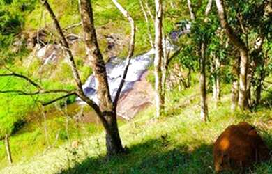 Imagem 10: Lote/Terreno para venda possui 1000 metros quadrados em Centro - Nazaré Paulista - SP