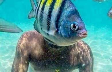 Imagem 16: CASA COM PISCINA EM PARIPUEIRA ACEITAMOS TODOS OS CARTÕES