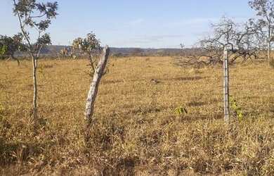 Imagem 5: Lote de 5 mil metros. Imóvel novoe5.000m² de Área