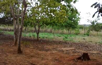 Imagem 6: Vende-se chácara no municipio de Arinos